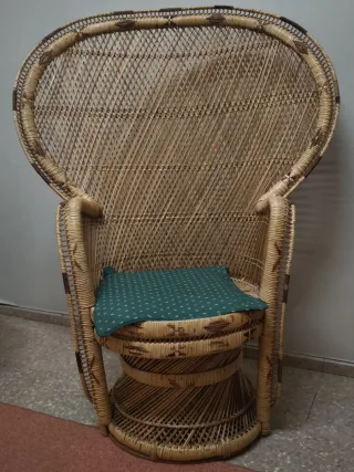 Juego Muebles Ratán Sillas Estilo Pavo