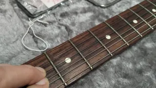 Fender Jazzmaster American Pro II + Funda