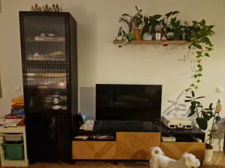 Mueble IKEA BESTÅ: Vitrina + Mueble TV