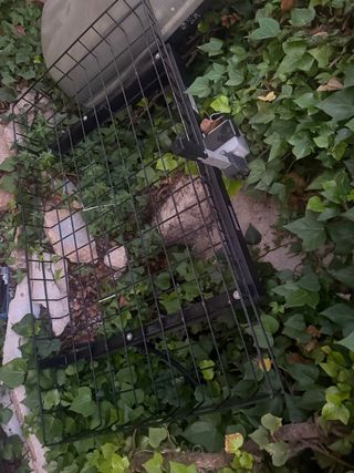 Cesta enganche bola remolque