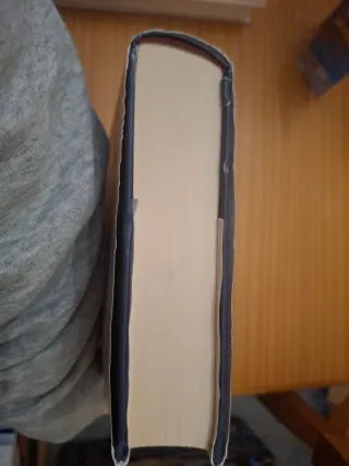 Hierro y sangre (Spanish Edition)