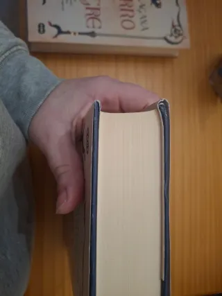 Hierro y sangre (Spanish Edition)