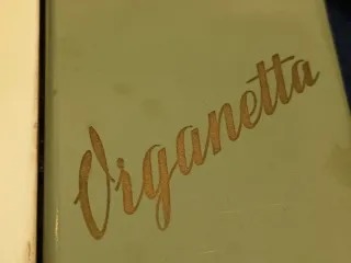 Hohner Organetta 9806 Vintage 1958