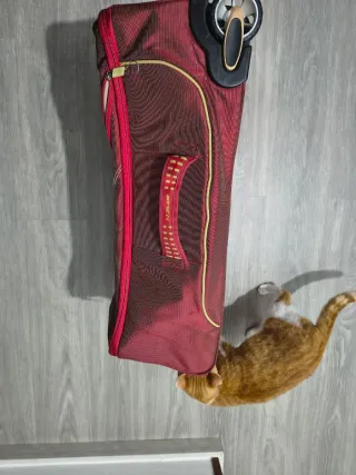 Maleta de viaje roja con ruedas 27×18×10