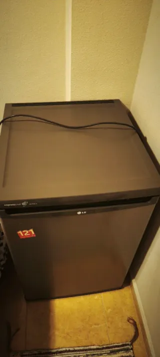 Frigorífico compacto LG Expresscool