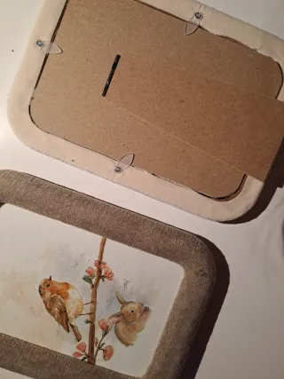 Acquerello originale pettirosso coniglio. cornice