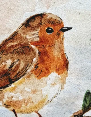 Acquerello originale pettirosso coniglio. cornice