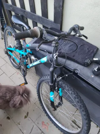 Bicicleta infantil 24 DENBIKE