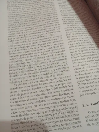 Psicología del Trabajo: Fundamentos y Aplicacio...