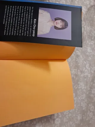 Si no podemos viajar a la velocidad de la luz