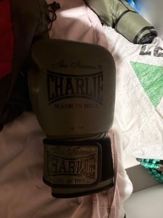 Guantes de Boxeo Charlie 14 ONZAS