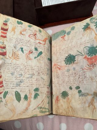 Manuscrito Voynich