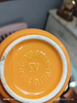 Juego de porcelana naranja y amarillo