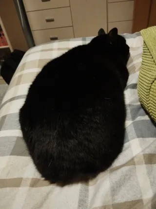 Caja New Super Mario Bros U Deluxe Switch