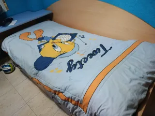 Habitación juvenil con escritorio