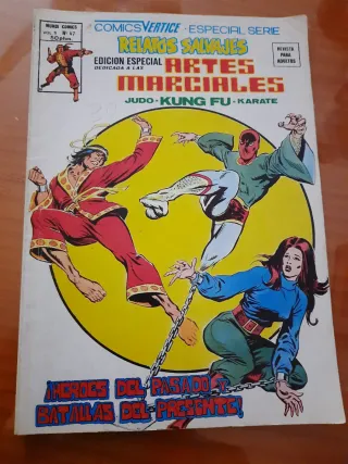 Lote Artes Marciales Vertice 1