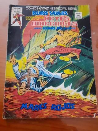 Lote Artes Marciales Vertice 1