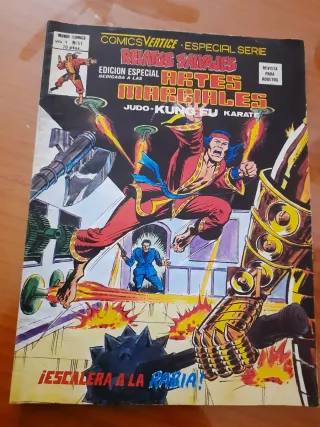 Lote Artes Marciales Vertice 1
