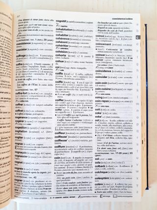 Dizionario "Francese Italiano" Garzanti LEGGERO