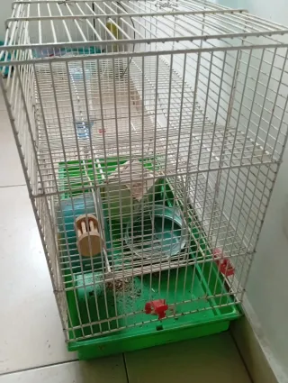 Jaula para hámster blanca y verde