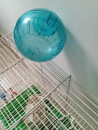 Jaula para hámster blanca y verde