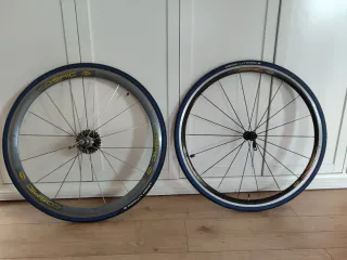 Ruedas Mavic Cosmic Cartera