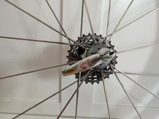 Ruedas Mavic Cosmic Cartera