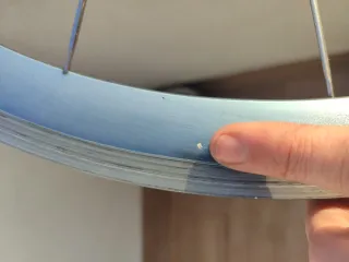 Ruedas Mavic Cosmic Cartera