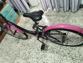 Bicicleta Infantil Girl 24