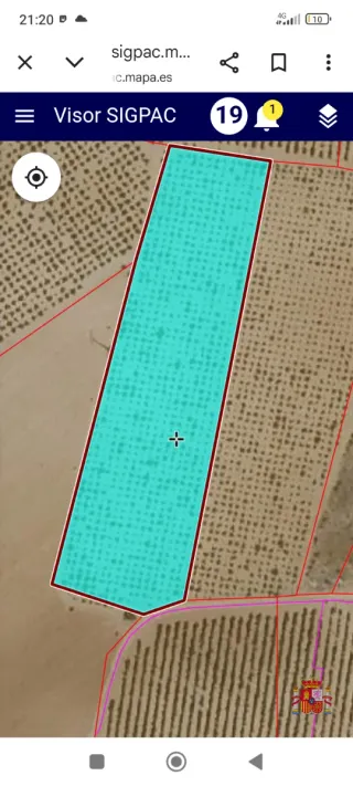 Viña en venta en Puebla de Almoradiel