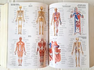 Dizionario "Il Boch" Francese Italiano 4 Edizione