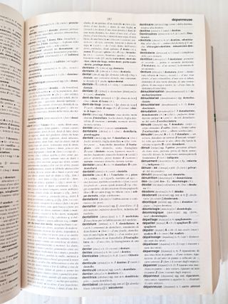 Dizionario "Il Boch" Francese Italiano 4 Edizione