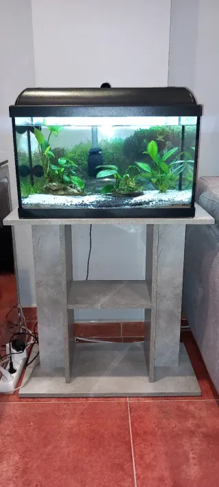 Mueble para acuario