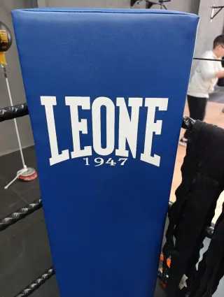 Ring de Boxeo Profesional 5x5