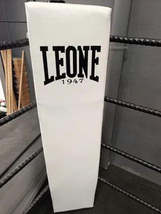 Ring de Boxeo Profesional 5x5