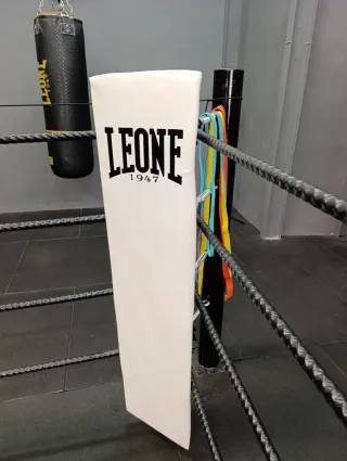 Ring de Boxeo Profesional 5x5