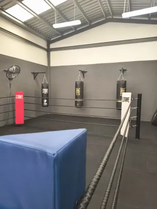 Ring de Boxeo Profesional 5x5