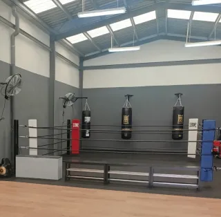 Ring de Boxeo Profesional 5x5