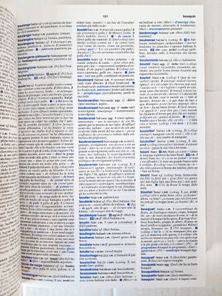 Dizionario "Larousse" Francese Italiano PERFETTO
