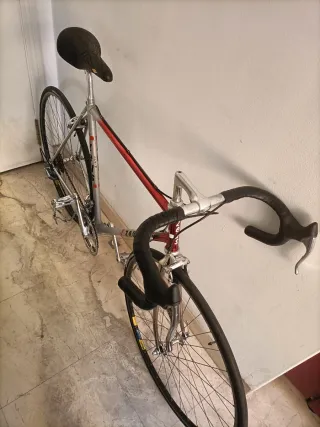 Bicicleta Zeus Clásica