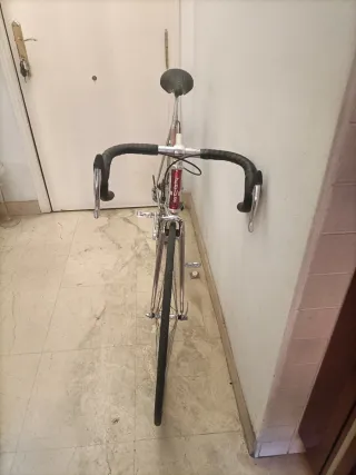 Bicicleta Zeus Clásica