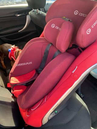 Silla de coche Concord