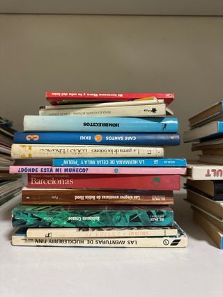 Lote de libros de segunda mano