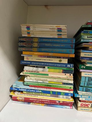 Lote de libros de segunda mano