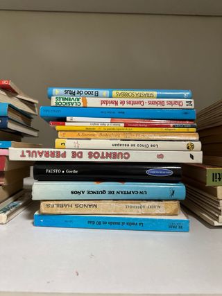 Lote de libros de segunda mano