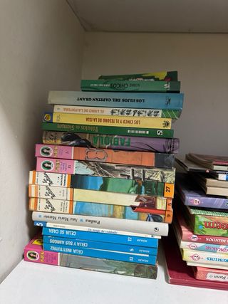 Lote de libros de segunda mano