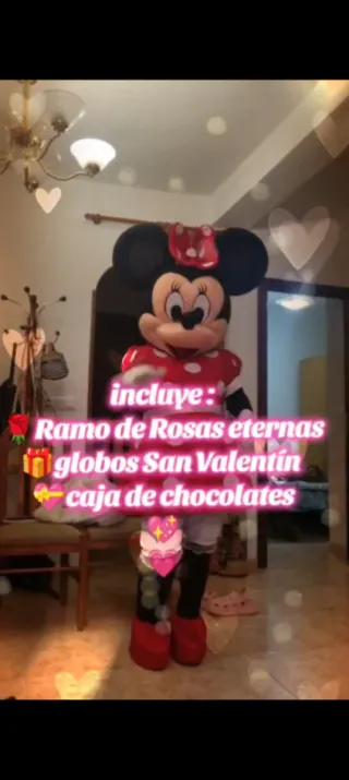 Disfraz Minnie Mouse Rojo Lunares Regalo sorpresa