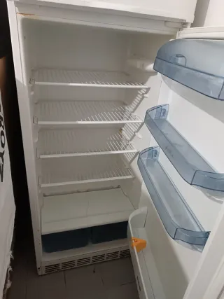 Nevera Combi Edesa 180cm