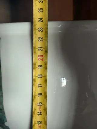 Sopera de porcelana con hojas