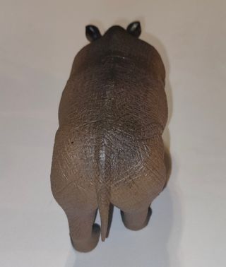 Rinoceronte Figure Diceros Bicornis Hobby & Work